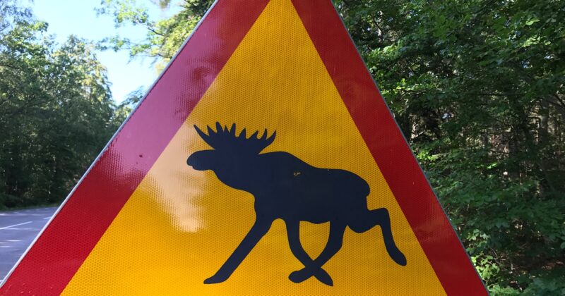 Umeå Camping – Schweden (18.08.2023 – 19.08.2023)